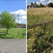 Left, the piece of land in Tanners Hill before it became overgrown. Picture: Google Street View. Right, the piece of land since it hasn't been cut. Picture: Sarah Dunton.
