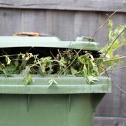 Garden waste collection charges are to be introduced in Dacorum