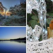 Three of the wonderful winter scenes captured by our camera club members this week.
