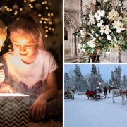 Three of the lovely Christmas scenes taken by our camera club members