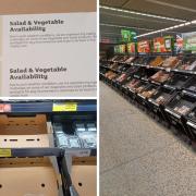 Fruit and veg shortage: what is happening in Watford