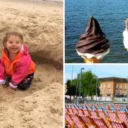 Three of this week's selection of 'summer fun' pictures from our camera club members