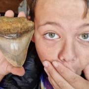 Amazed - 13-year-old Ben Evans made a discovery in Walton