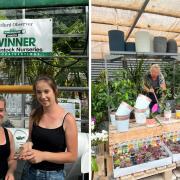 Shantock Nurseries in Hemel Hempstead has has been voted by the Watford Observer readers as ‘Your Favourite Garden Centre 2023’.