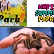 Low cost summer holiday events for local families