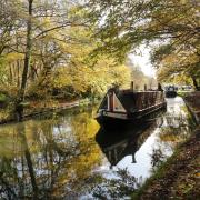 'On the canal alongside Cassiobury Park.' Image: Stephen Smith