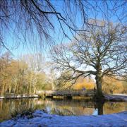 'Winter in Cassiobury Park.' Image: Stephen Smith