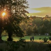 'An evening walk in Cassiobury Park'