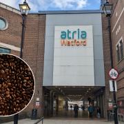 New branding for a national coffee chain has appeared in atria Watford.