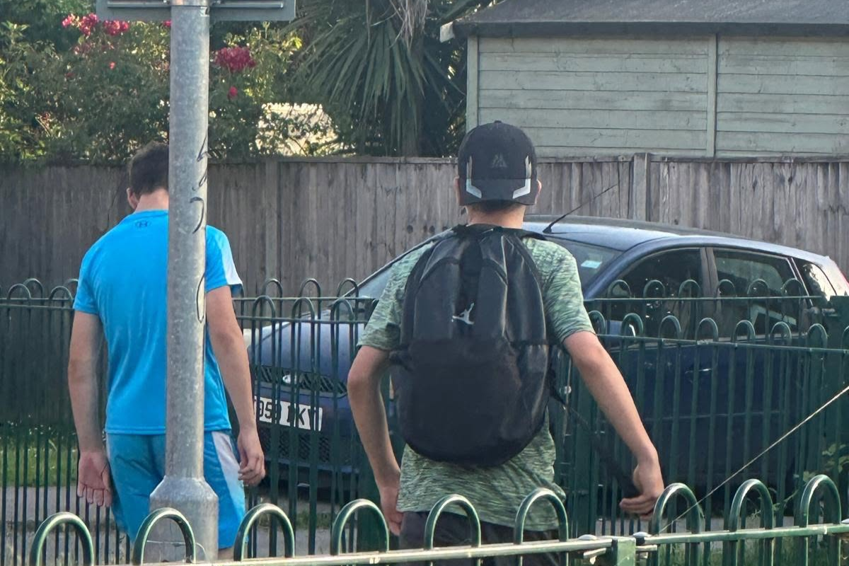 Police release image over 'egging' after child and house hit