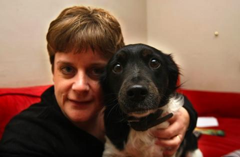 Owner's anger at £151 bill after dog is returned