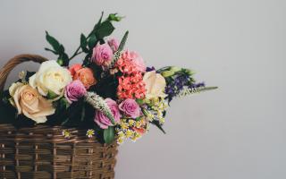 Marks and Spencer has 10 percent off selected plants and flowers ready to order for Mother's Day range (Canva)