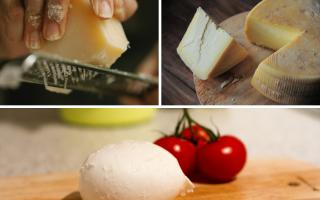 3 different kinds of cheese. Credit: Canva