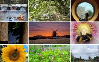 Watford Observer Camera Club members on the theme of 'What I love about the Watford area in the summertime'