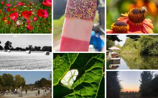 Watford Observer Camera Club ‘what I love about the Watford area in summertime’