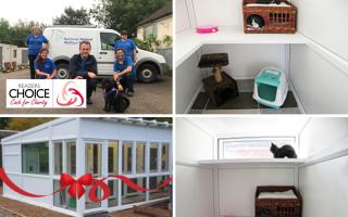 The new cattery has helped many animals. Picture:  National Animal Welfare Trust