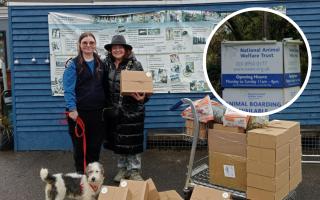 Dogs at National Animal Welfare Trust received treats for Christmas.