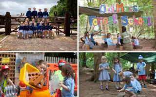 Old MacDonald's Day Nursery has five branches in Hertfordshire.