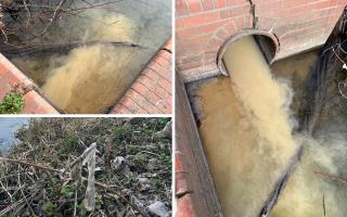 Dog walker suspects 'poo and toilet' paper is polluting river