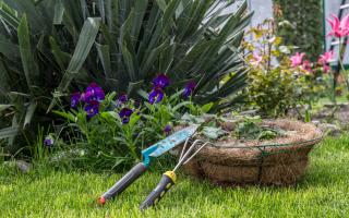 There are a few useful tips, such as mulching your borders, for gardeners to keep in mind in early spring