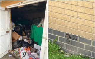 There have numerous complaints about the bin store and pests at the property since 2022.