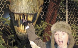 T-Rex photo opportunity at Dinosaurs Unleashed