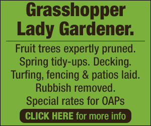 Watford Observer: Watford WCIF - Grasshopper lady gardener